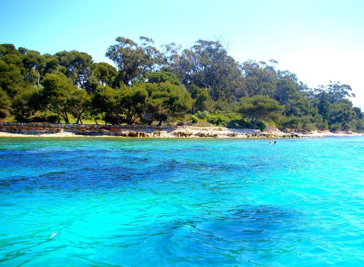 Magnifique "Gite De La Garoupe" Au Cap D'Antibes A 300M Des Plages エクステリア 写真